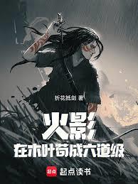 ����С˵:��Ӱ����ľҶ����������