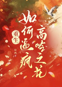 ����С˵:��αƷ����֮����������