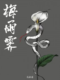 ����С˵:÷����