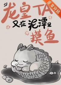 ����С˵:������������̶������