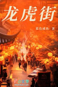 ����С˵:������