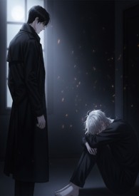 ����С˵:�������