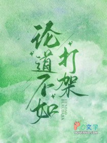 ����С˵:�۵�������