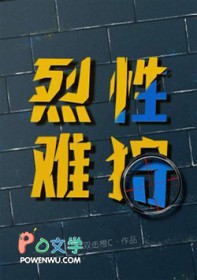 ����С˵:��������