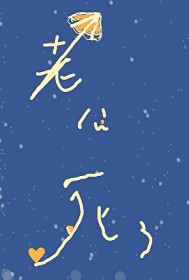 ����С˵:���������Ĺ����Ϲ�