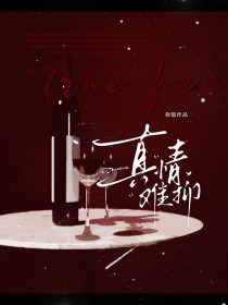 ����С˵:��������