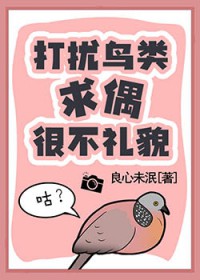 ����С˵:����������ż�ܲ���ò