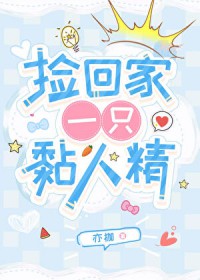 ����С˵:��ؼ�һֻ��˾�