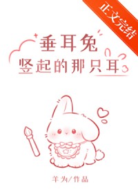 ����С˵:�ˣ�����������