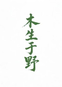 ����С˵:ľ����Ұ