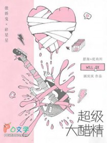 ����С˵:������׾�