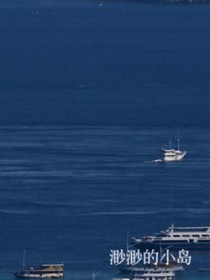 ����С˵:�����С��