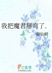 ����С˵:�Ұ�ħ��������