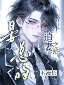 ����С˵:���ܵ�׷��֮·������