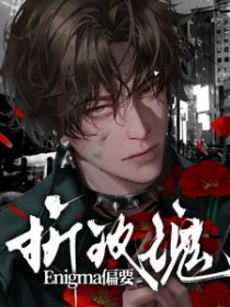 ����С˵:EnigmaƫҪ��õ��