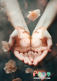 ����С˵:�������㣬����;�С�