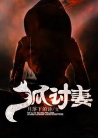 ����С˵:������