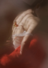 ����С˵:������ľ(У԰1v1)