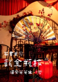 ����С˵:������д���½�ƿ÷