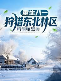 ����С˵:������һ���Զ�������