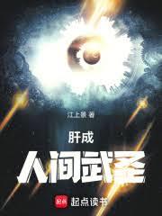 ����С˵:��������