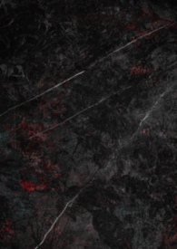 ����С˵:����Ȧ����NPH����÷������ǿ�ư���