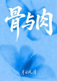 ����С˵:�����⣨ĸ���ĺϼ���