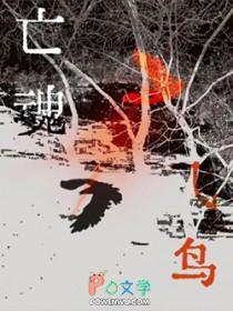 ����С˵:�������