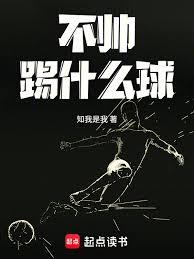 ����С˵:��˧��ʲô��