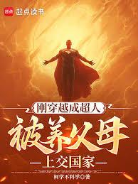 ����С˵:�й�ʽ����