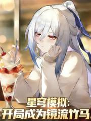 ����С˵:���ģ�⣺���ֳ�Ϊ��������