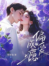 ����С˵:ƫ�����