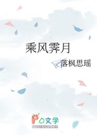 ����С˵:�˷�����