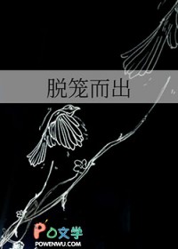 ����С˵:��������