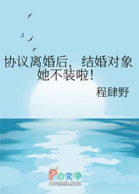 ����С˵:Э�����󣬽���������װ��