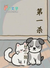 ����С˵:��һɱ