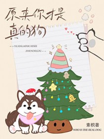 ����С˵:ԭ���������Ĺ�