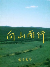 ����С˵:��ɽ����