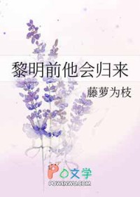 ����С˵:���Ʊ����