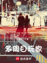 ����С˵:����Ŀ���