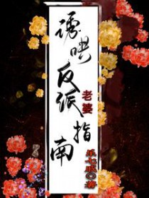 ����С˵:�պ巴������ָ��