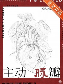 ����С˵:͸�����󣬵���������˾