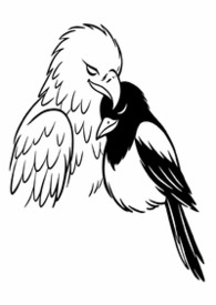 ����С˵:����