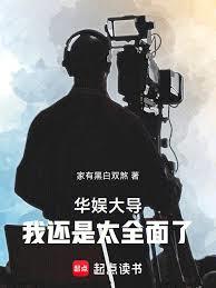 ����С˵:����󵼣��һ���̫ȫ����