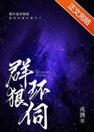 ����С˵:Ⱥ�ǻ���