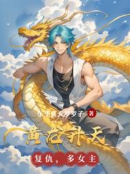 ����С˵:��������