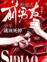 ����С˵:�߻���