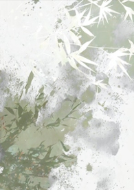 ����С˵:����(1v1��ǿ�ư�)