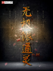 �ֲ�С˵:�޼���ͨ��