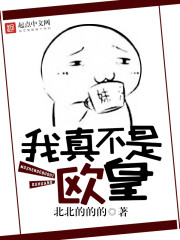 �ƻ�С˵:���治��ŷ��